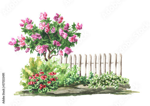 Garden blooming flower bed, Landscape design, Hand drawn watercolor illustration isolated on white background