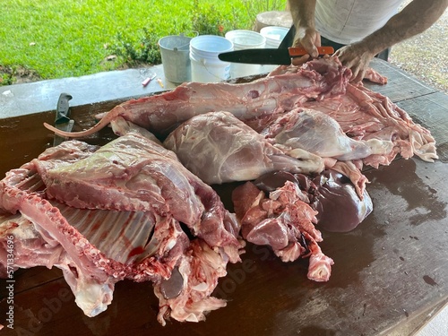 Butchering a Pig by Hand in Alvarado, Veracruz, Mexico  photo