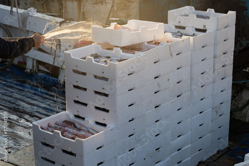 Εκτύπωση καμβά Boxes of freshly caught fish, paranza and octopuses from the Tyrrhenian Sea