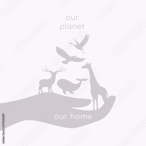 animals on the palm of hand