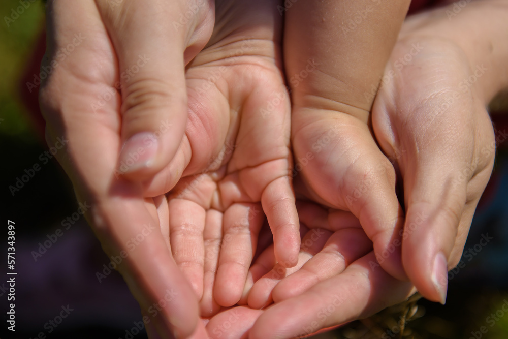Baby and mom's hands together. Comparison of adult and infant bodies. Baby and mom's hands together. Comparison of adult and infant bodies.