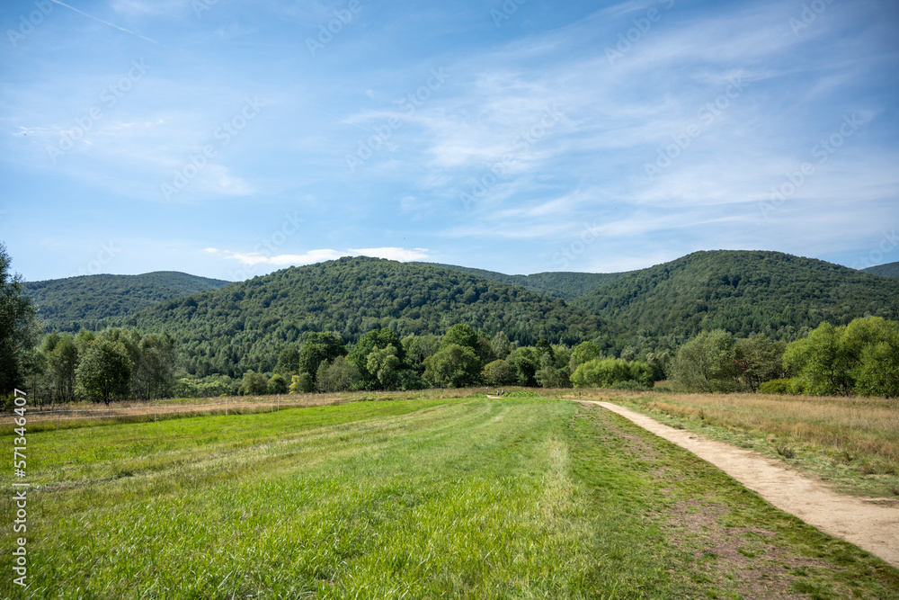 Fototapeta premium krajobraz podczas słonecznego dnia góry
