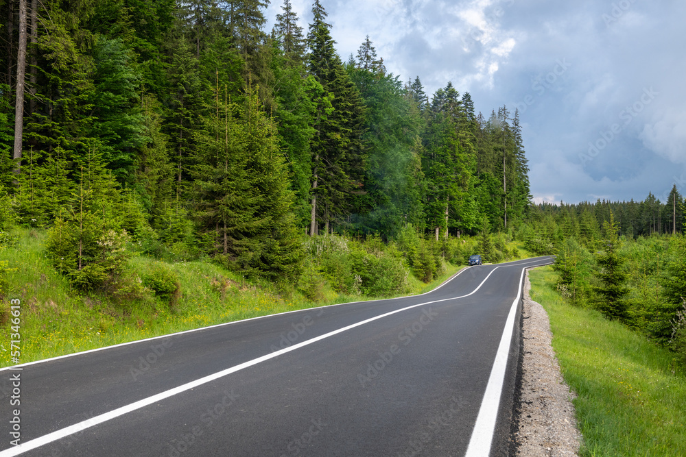 Naklejka premium Empty road in summer forest