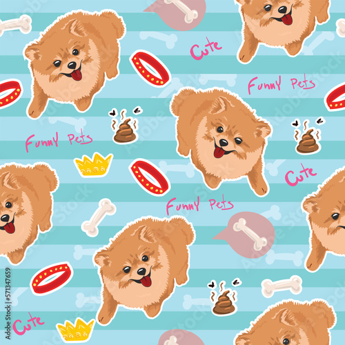 Pomeranian Spitz puppy seamless pattern. Small German spitz all over print background. Little smile dog vector stock illustration. Domestic animal in cartoon style repeat design.