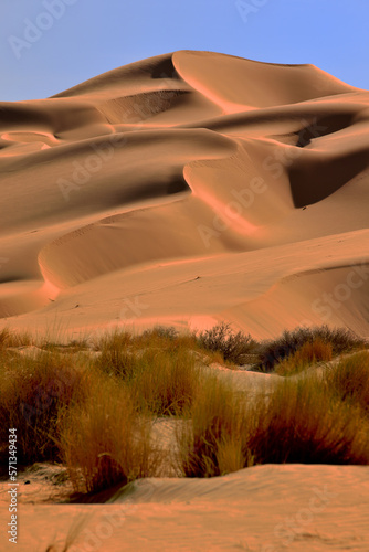SAHARA DESERT IN ALGERIA AND SAND DUNES AROUND DJANET OASIS AND ERG ADMAR