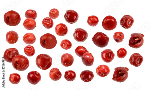 Red peppercorns isolated   photo