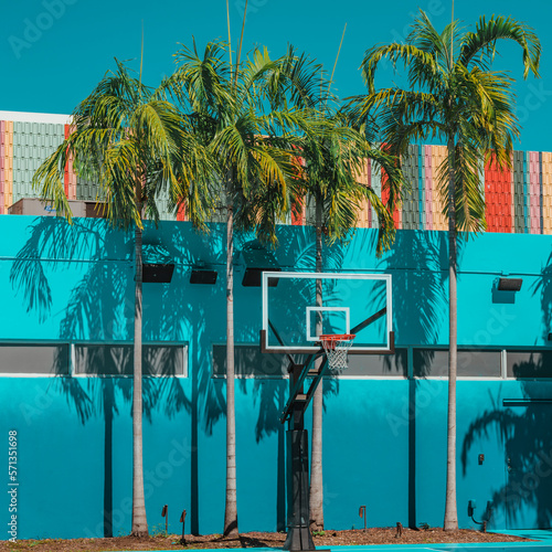 beach with palm trees basket in wynwood miami  © Alberto GV PHOTOGRAP