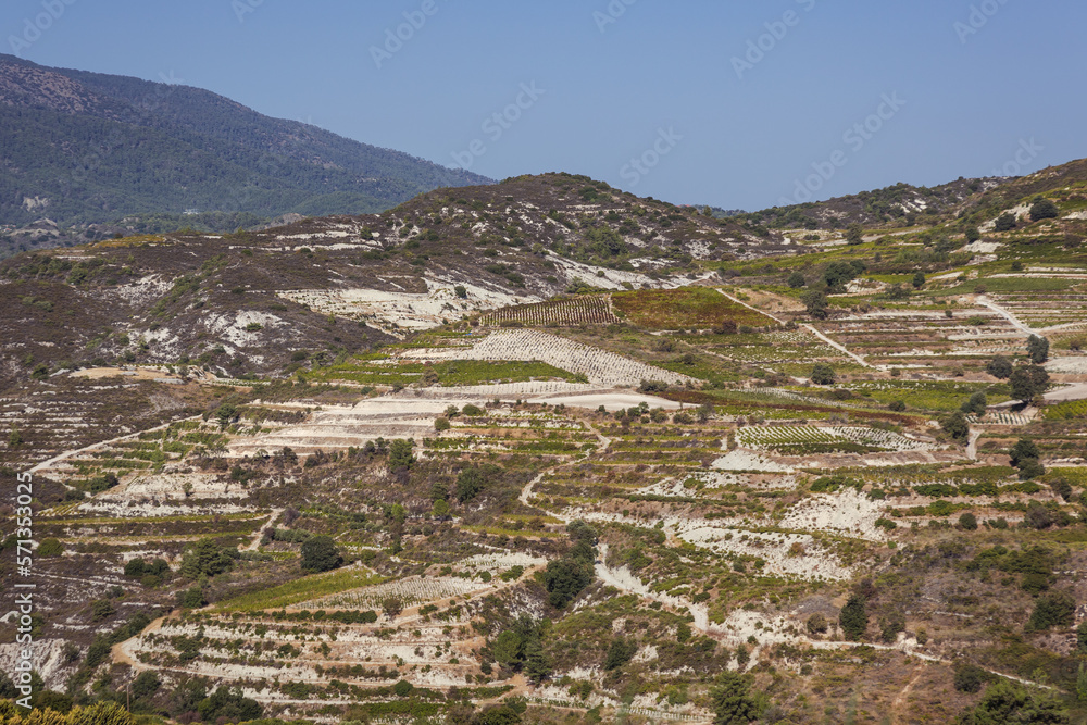 Terrace fields near Omodos village in Troodos Mountains on Cyprus island country