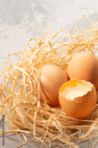 Brown eggs lay in brown paper that is made like a bird's nest. White background. High quality photo