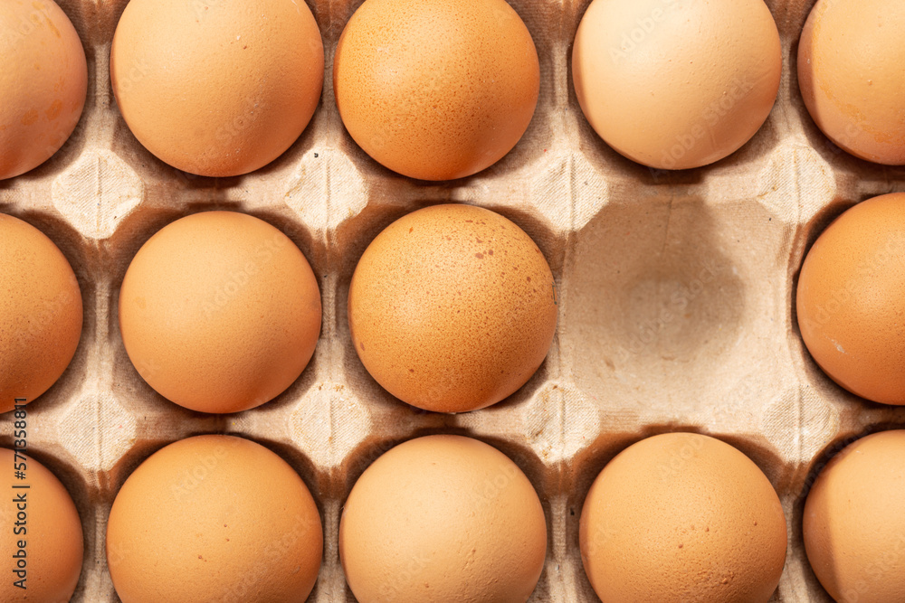 Chicken eggs in paper egg tray. High quality photo Chicken eggs in paper egg tray. High quality photo