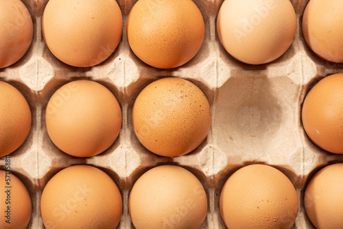 Chicken eggs in paper egg tray. High quality photo