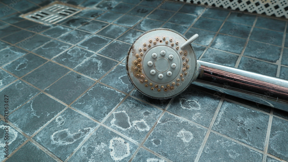 Dirty chrome shower head with limescale that should be cleaned and mold on tiles. Calcified