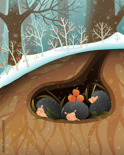 Hedgehog family sleeping or hibernating in a den or burrow. Cute hedgehog animal forest habitat illustration for children. Animals in the woods cute wildlife graphics. Vector drawing for kids.