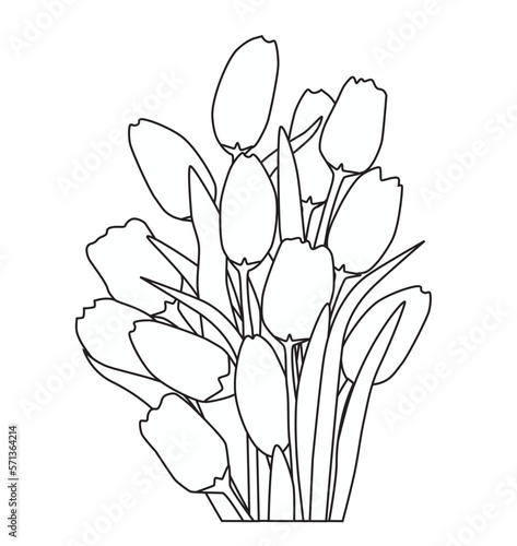 Flores Tulipanes - Tulips Flowers