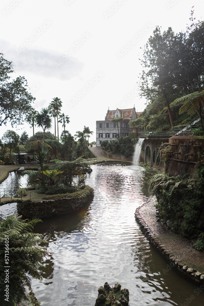 Beautiful pond in Monte garden with waterfall, palm trees and palace on Madeira island. exotic park