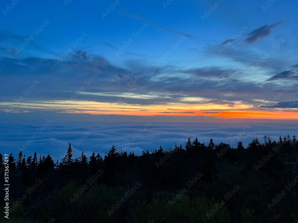 Obraz premium Early morning