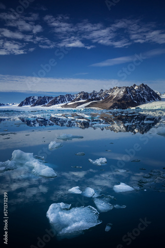 Beautiful nature of Liefdefjorden, Svalbard, mountains with snow reflected in the water with ice floes, sunny weather, vertical image.