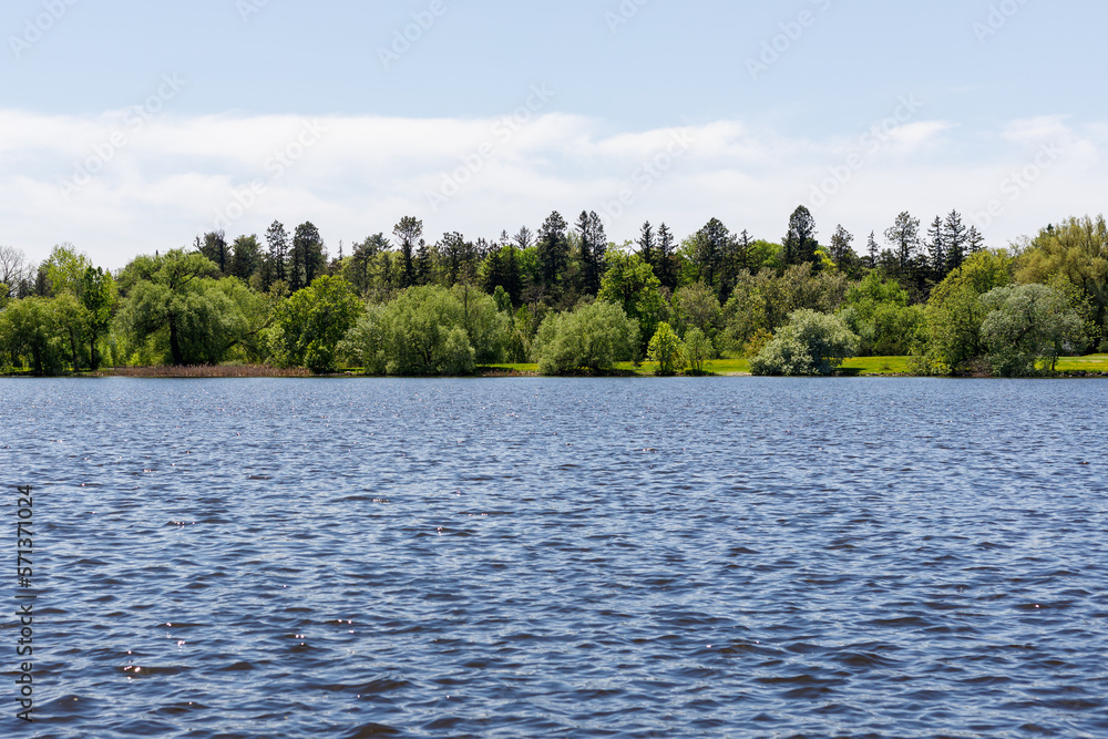 Panoramic view of lake and forest. Natural summer landscape.