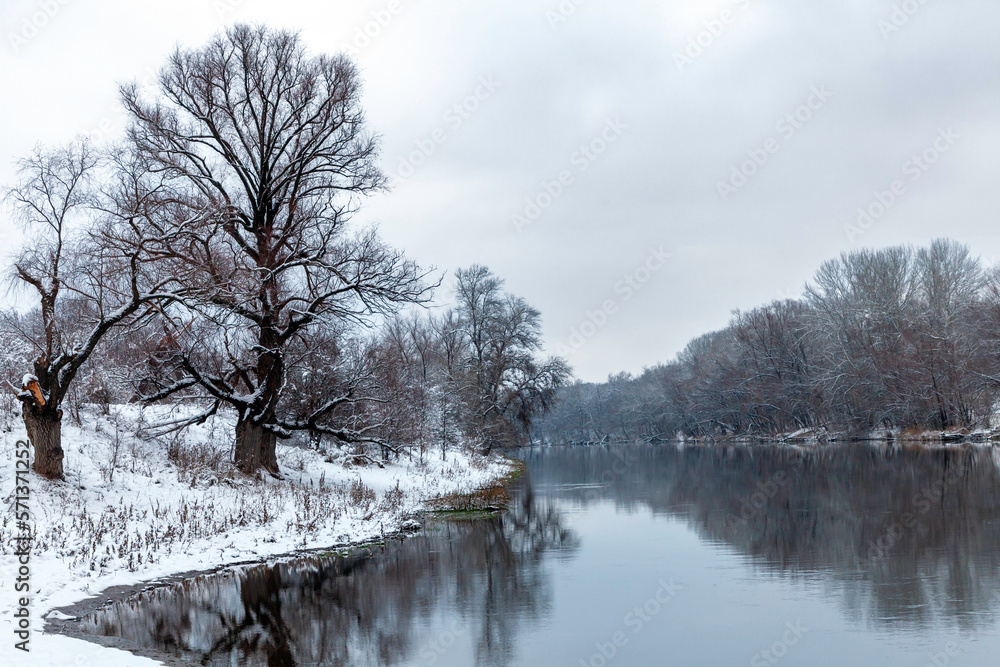 Scenic view of the winter snow-covered tall old trees on the banks of the river after a snowfall. Trees are reflected in the dark water. Scenic view of the winter snow-covered tall old trees on the banks of the river after a snowfall. Trees are reflected in the dark water.