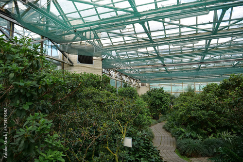 Healthy green trees grows in greenhouse, ecological balance of planet