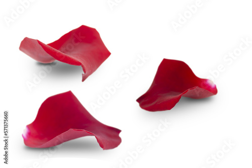 Fényképezés Set of red rose petals isolated on white background.