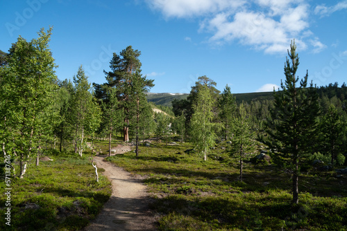 A hiking trail in the Reiheimen National Park photo