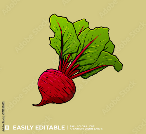 Betterave Illustration Vecteur