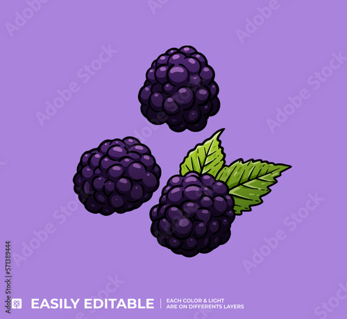 Mûres Violettes Illustration Vecteur