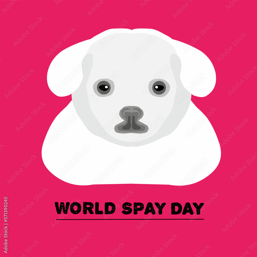 Vector graphic of world spay day day for world spay day celebration. flat design. flyer design. February 28. Vector graphic of world spay day day for world spay day celebration. flat design. flyer design. February 28.