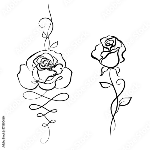 Set rose flower on stalk leaves with swirls in black lines