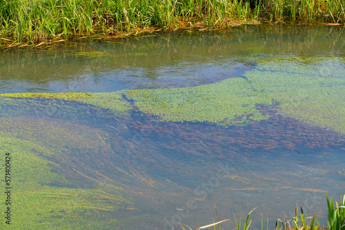 Hohlerbaechle bei Schwarzach, Entwässerungs Kanal für Felder und Rheinüberlauf photo