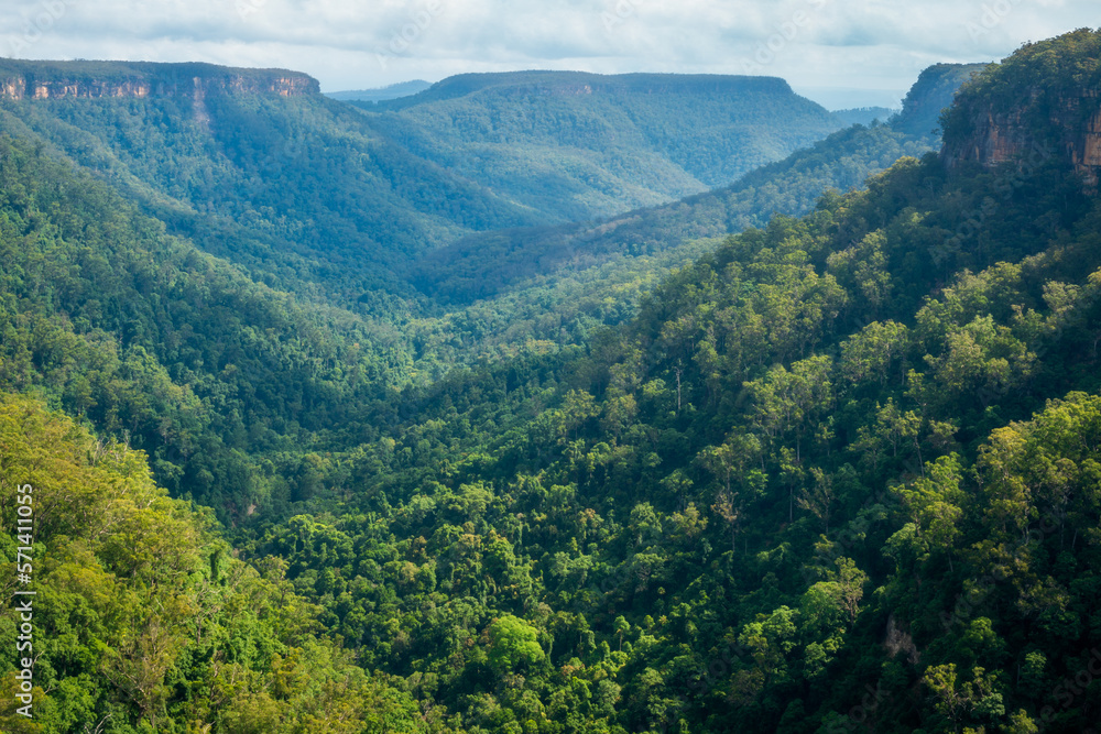 Spectacular view of the Valley at Fitzroy Falls in Morton National Park, Kangaroo Valley, Southern Highlands, NSW, Australia.