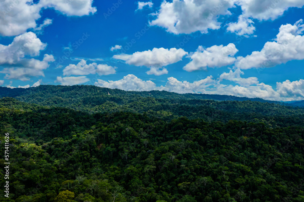 Aerial view of a tropical forest canopy on a sunny day with fluffy clouds casting their shade over the forest canopy: stunning green nature background