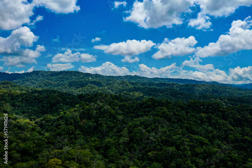 Aerial view of a tropical forest canopy on a sunny day with fluffy clouds casting their shade over the forest canopy: stunning green nature background