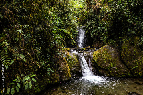 Still video of a small cascade with water flowing: a tranquil scene of a tropical cloudforest and a beautiful nature background