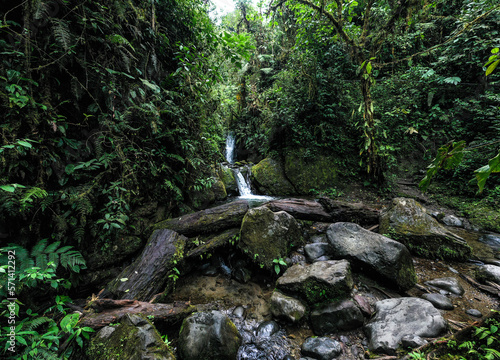 Still video of a small cascade with a swimming hole in front: a green nature background of a stream in a cloudforest
