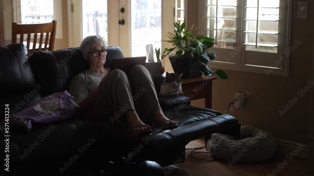 Senior woman reading a tablet next to her cat while it is snowing outside - pan to see a cozy fire Senior woman reading a tablet next to her cat while it is snowing outside - pan to see a cozy fire