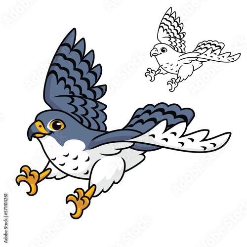 Cute Peregrine Falcon Flying Ready Pounce Prey