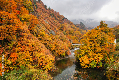 Japanese scenery autumn in the mountains