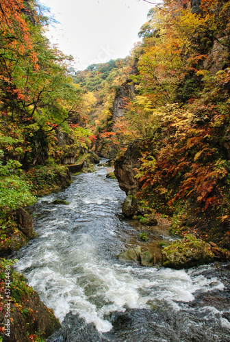 Japanese scenery - autumn forest river