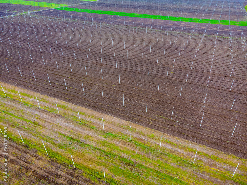 Naklejka premium Empty hop fields from above