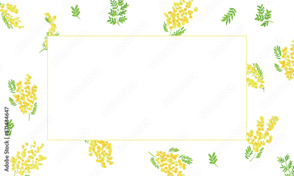 水彩画。水彩タッチのミモザイラストベクターフレーム。ミモザのベクター背景。Watercolor. Mimosa illustration vector frame with watercolor touch. Mimosa vector background.