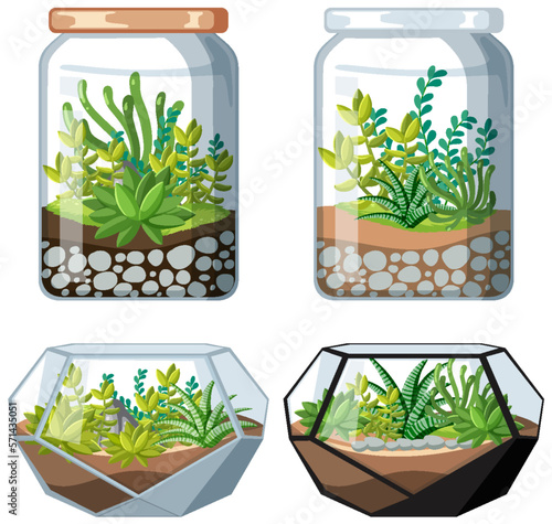 Set of terrarium plant in jar
