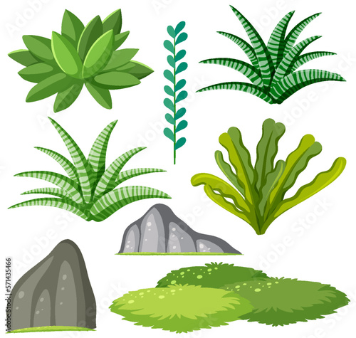 Set of succulent plants for decoration