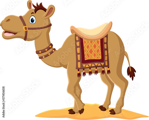 Cartoon cute camel with saddlery