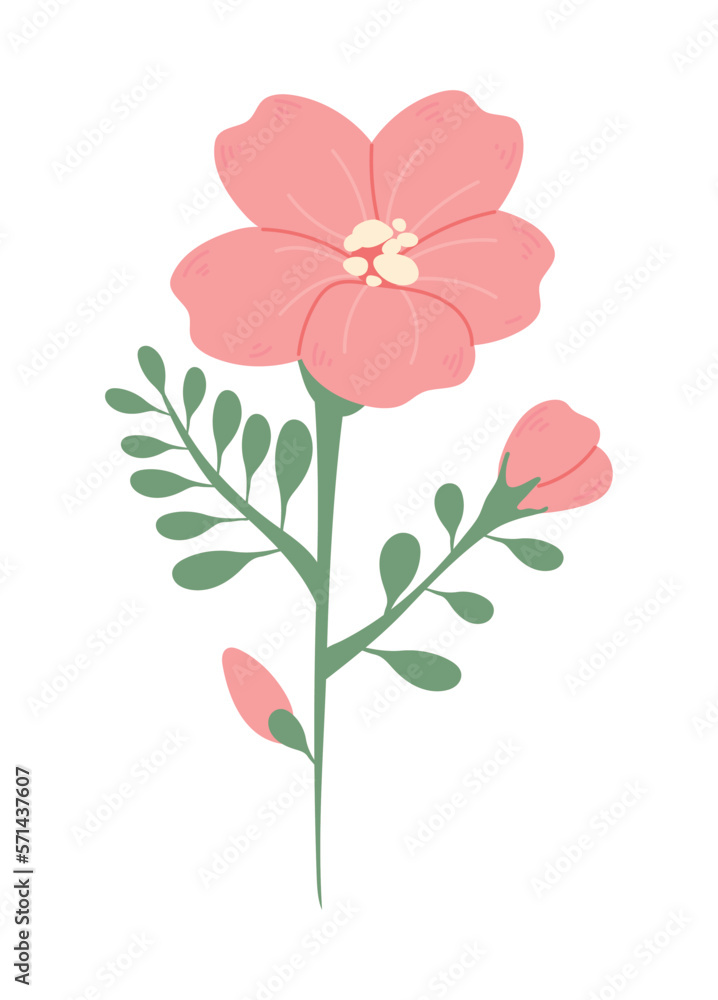 pink flowers spring pink flowers spring