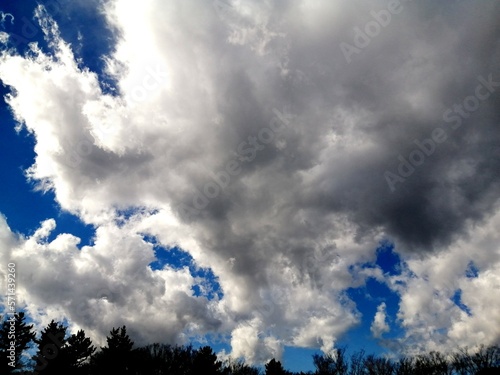 印象的な雲と空 青空と雲と木々