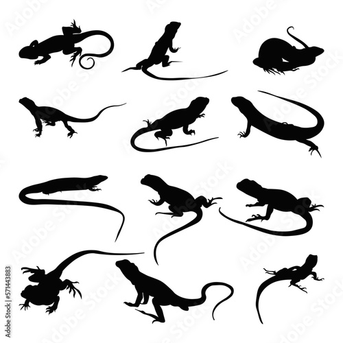 Set lizard silhouette vector illustration.