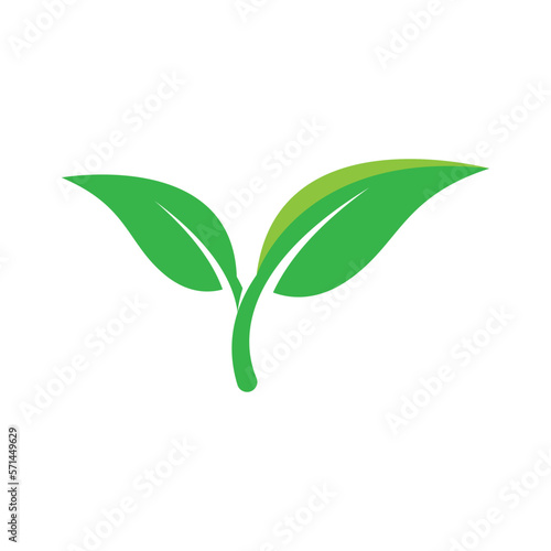 Leaf logo images