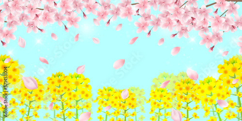 桜　菜の花　春　背景